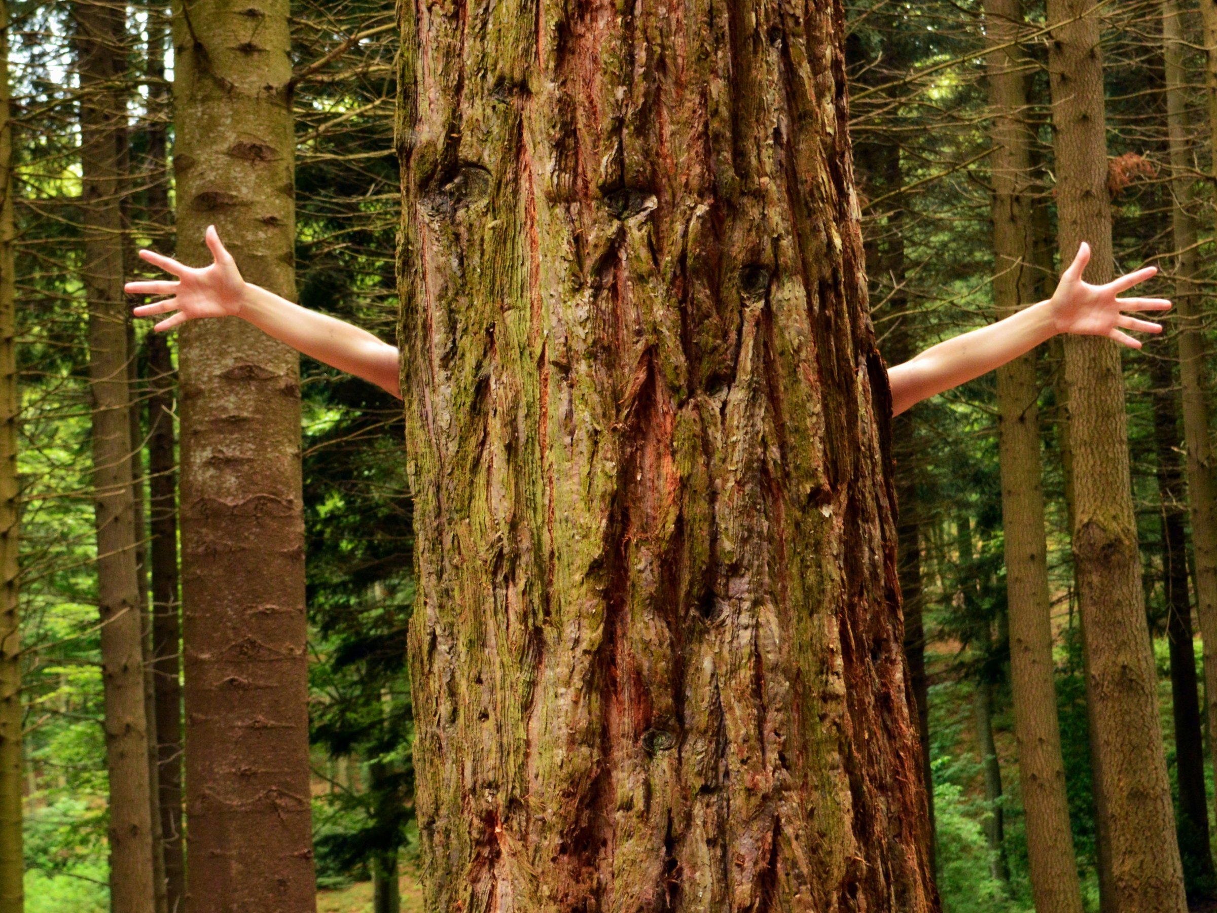 I took a test to measure my emotional intelligence — and it turns out I